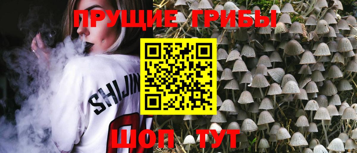 Псилоцибиновые грибы GOLDEN TEACHER Бутурлиновка